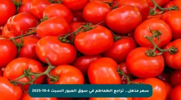 سعر مذهل.. تراجع الطماطم في سوق العبور السبت 4-10-2025